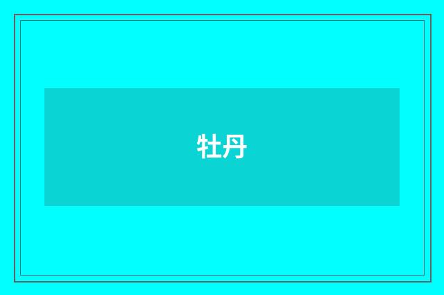 牡丹