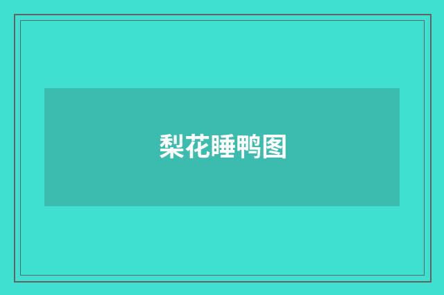 梨花睡鸭图