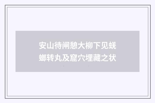 安山待闸憩大柳下见蜣螂转丸及窟穴埋藏之状