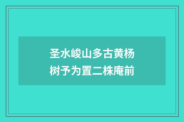 圣水峻山多古黄杨树予为置二株庵前