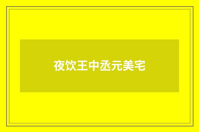 夜饮王中丞元美宅
