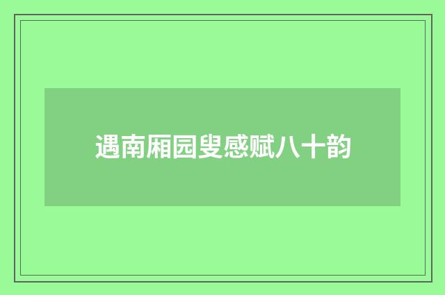 遇南厢园叟感赋八十韵