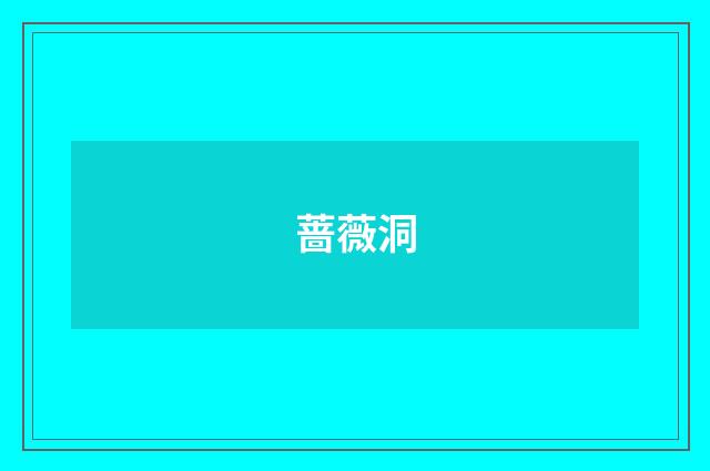 蔷薇洞
