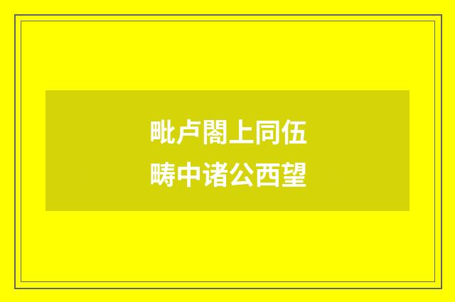 毗卢閤上同伍畴中诸公西望