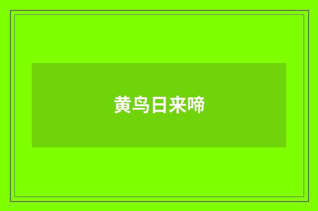 黄鸟日来啼