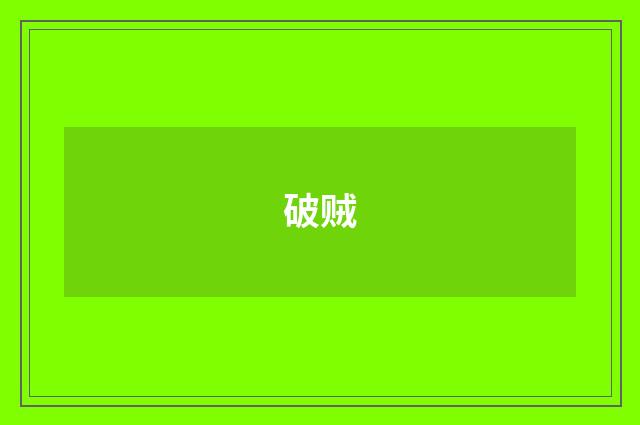 破贼