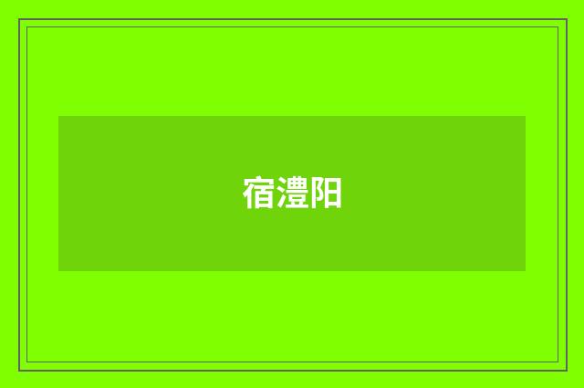 宿澧阳