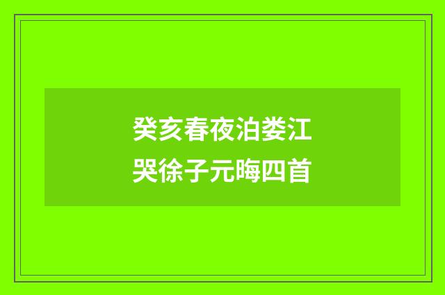 癸亥春夜泊娄江哭徐子元晦四首