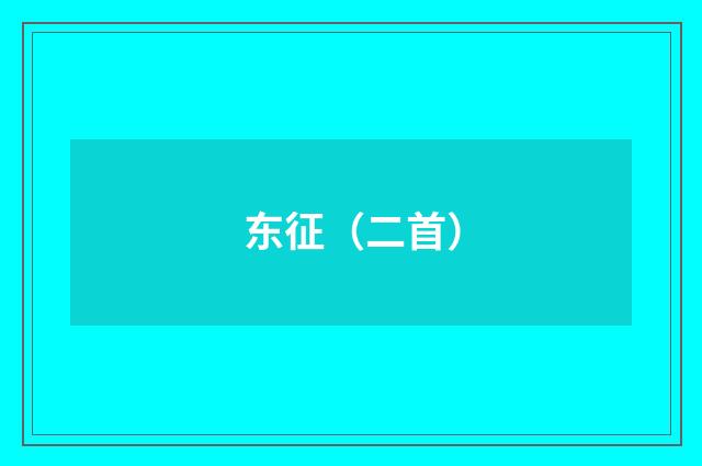 东征（二首）