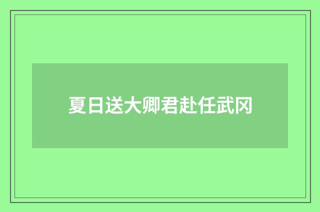 夏日送大卿君赴任武冈