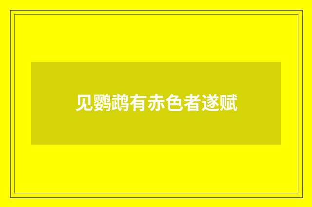 见鹦鹉有赤色者遂赋