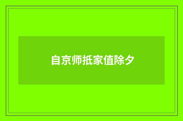 自京师抵家值除夕