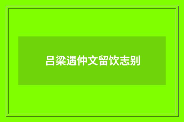 吕梁遇仲文留饮志别
