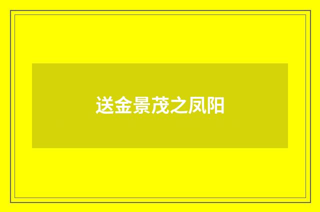 送金景茂之凤阳