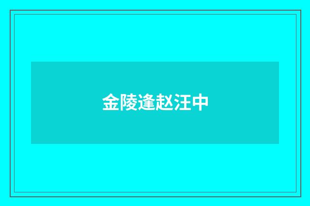 金陵逢赵汪中