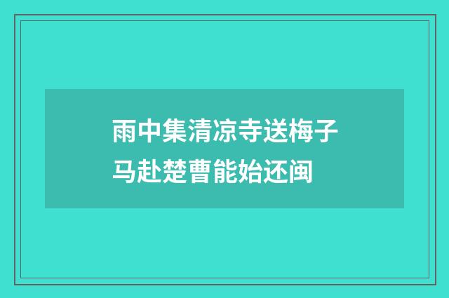 雨中集清凉寺送梅子马赴楚曹能始还闽