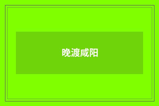 晚渡咸阳