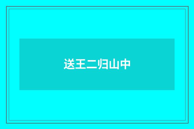 送王二归山中