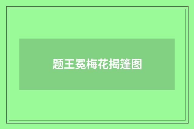 题王冕梅花揭篷图