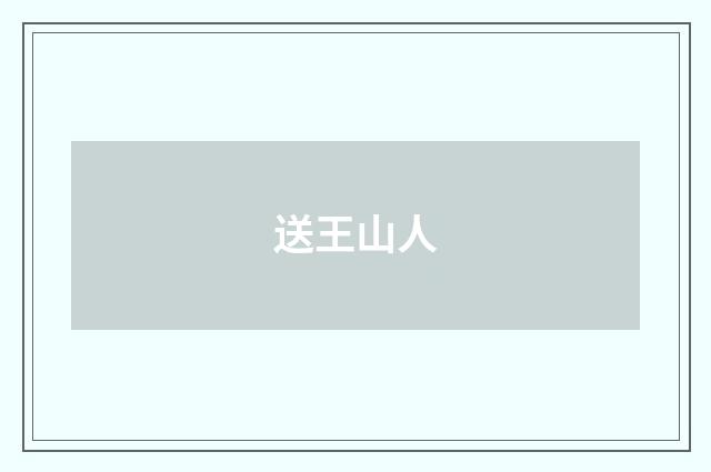 送王山人