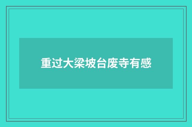 重过大梁坡台废寺有感