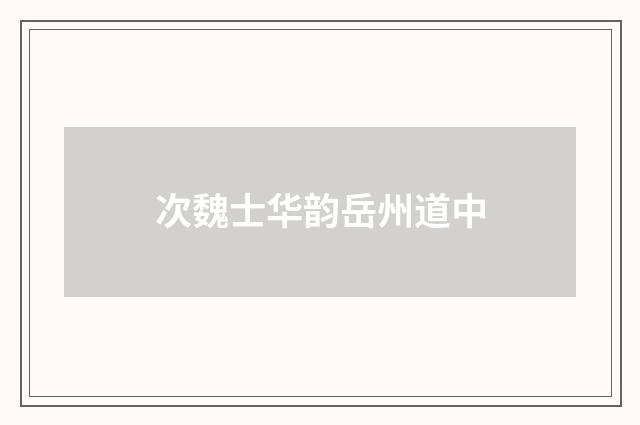 次魏士华韵岳州道中