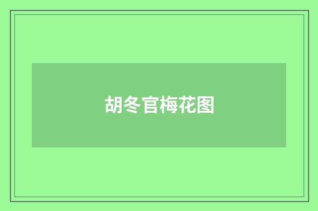 胡冬官梅花图