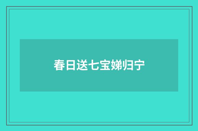 春日送七宝娣归宁