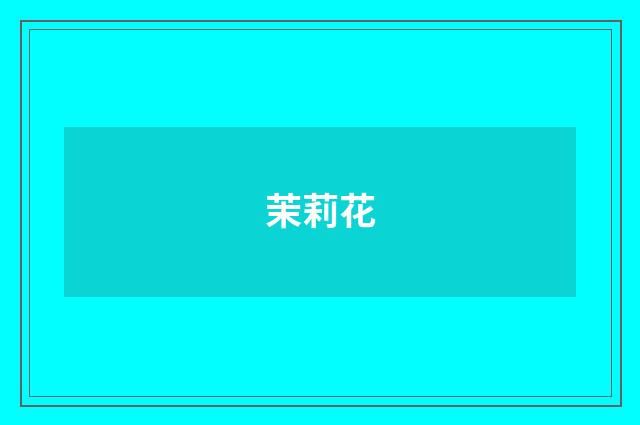茉莉花