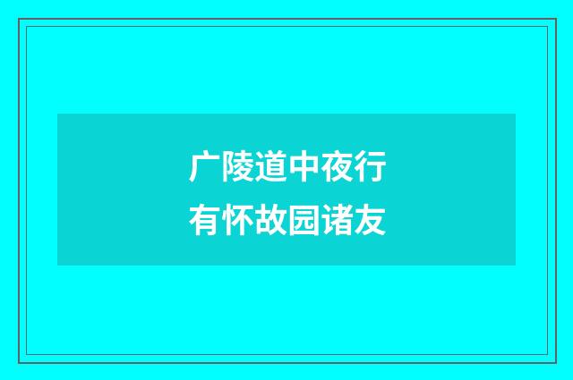 广陵道中夜行有怀故园诸友
