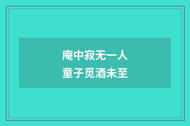 庵中寂无一人童子觅酒未至