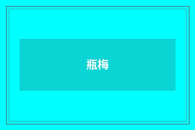瓶梅