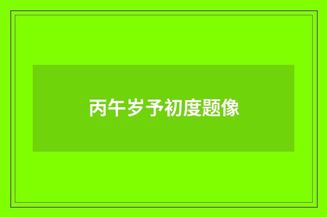 丙午岁予初度题像