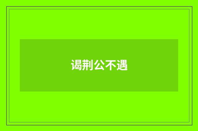 谒荆公不遇