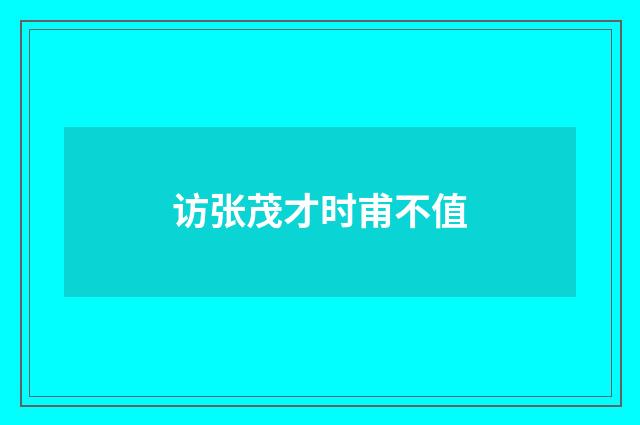 访张茂才时甫不值