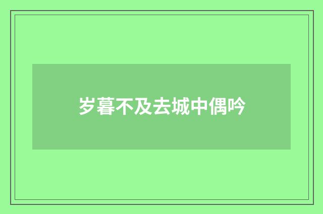 岁暮不及去城中偶吟