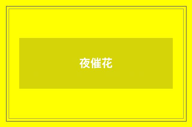 夜催花