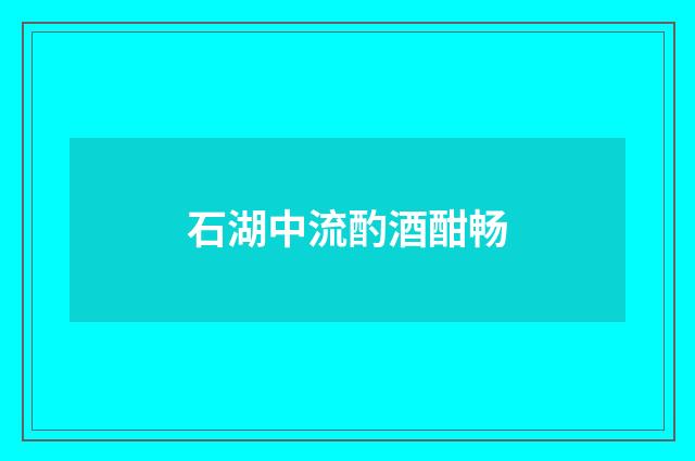 石湖中流酌酒酣畅