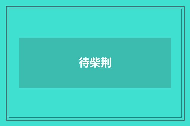 待柴荆