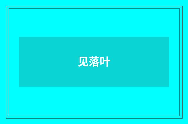 见落叶