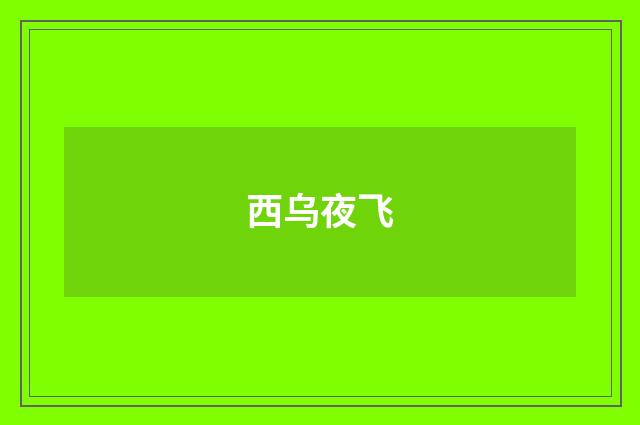 西乌夜飞