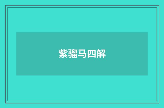 紫骝马四解