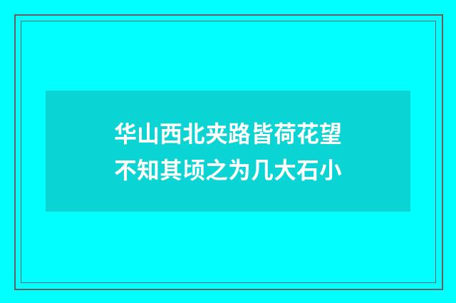 华山西北夹路皆荷花望不知其顷之为几大石小