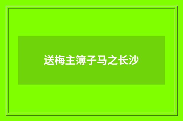 送梅主簿子马之长沙