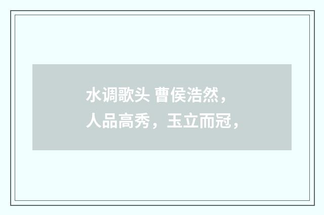 水调歌头 曹侯浩然，人品高秀，玉立而冠，