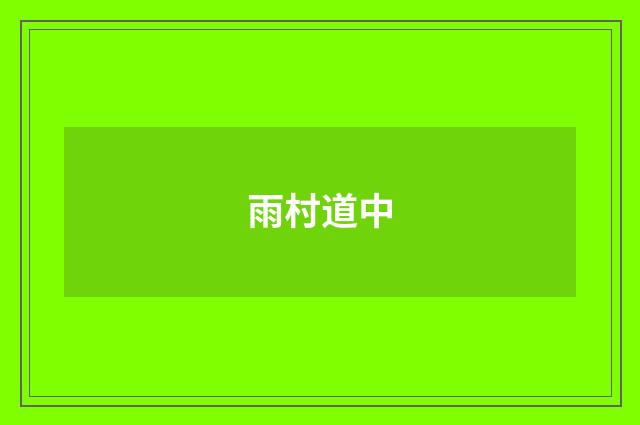 雨村道中