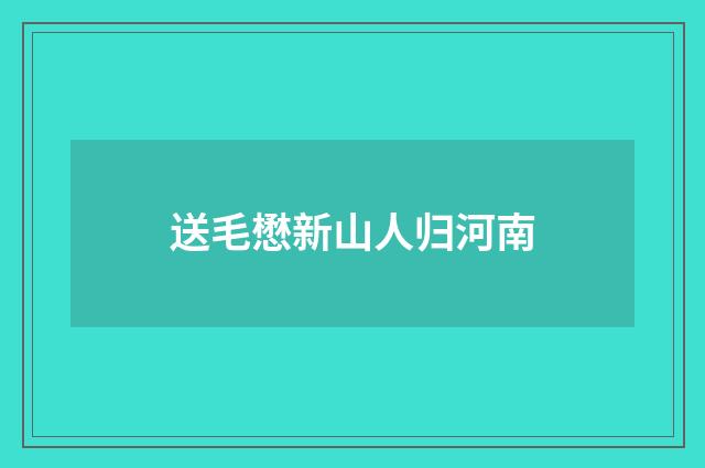 送毛懋新山人归河南