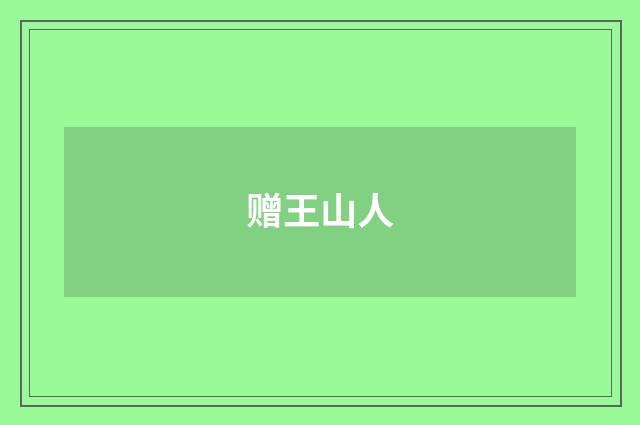 赠王山人