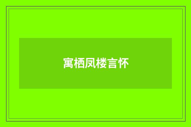 寓栖凤楼言怀