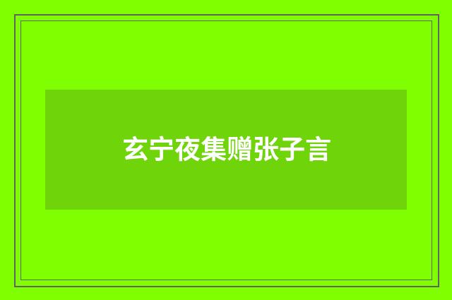 玄宁夜集赠张子言